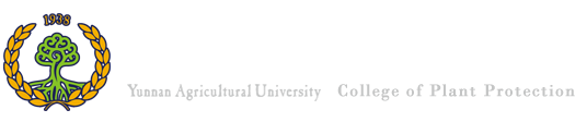 禁漫天堂下载
